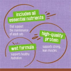 Friskies Extra Gravy Pate With Turkey In Savory Gravy Canned Cat Food -Furry Feast 142575 PT7. AC SS1800 V1700157828