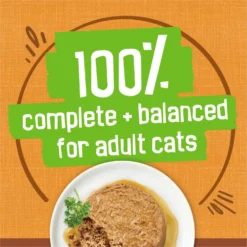 Friskies Extra Gravy Pate With Chicken In Savory Gravy Canned Cat Food -Furry Feast 142579 PT5. AC SS1800 V1699369727