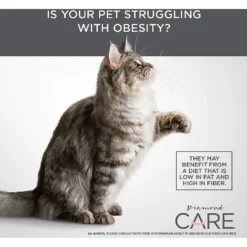 Diamond Care Weight Management Formula Adult Grain-Free Dry Cat Food 13 Diamond Care Weight Management Formula Adult Grain-Free Dry Cat Food -Furry Feast 143254 PT5. AC SS1800 V1587655853