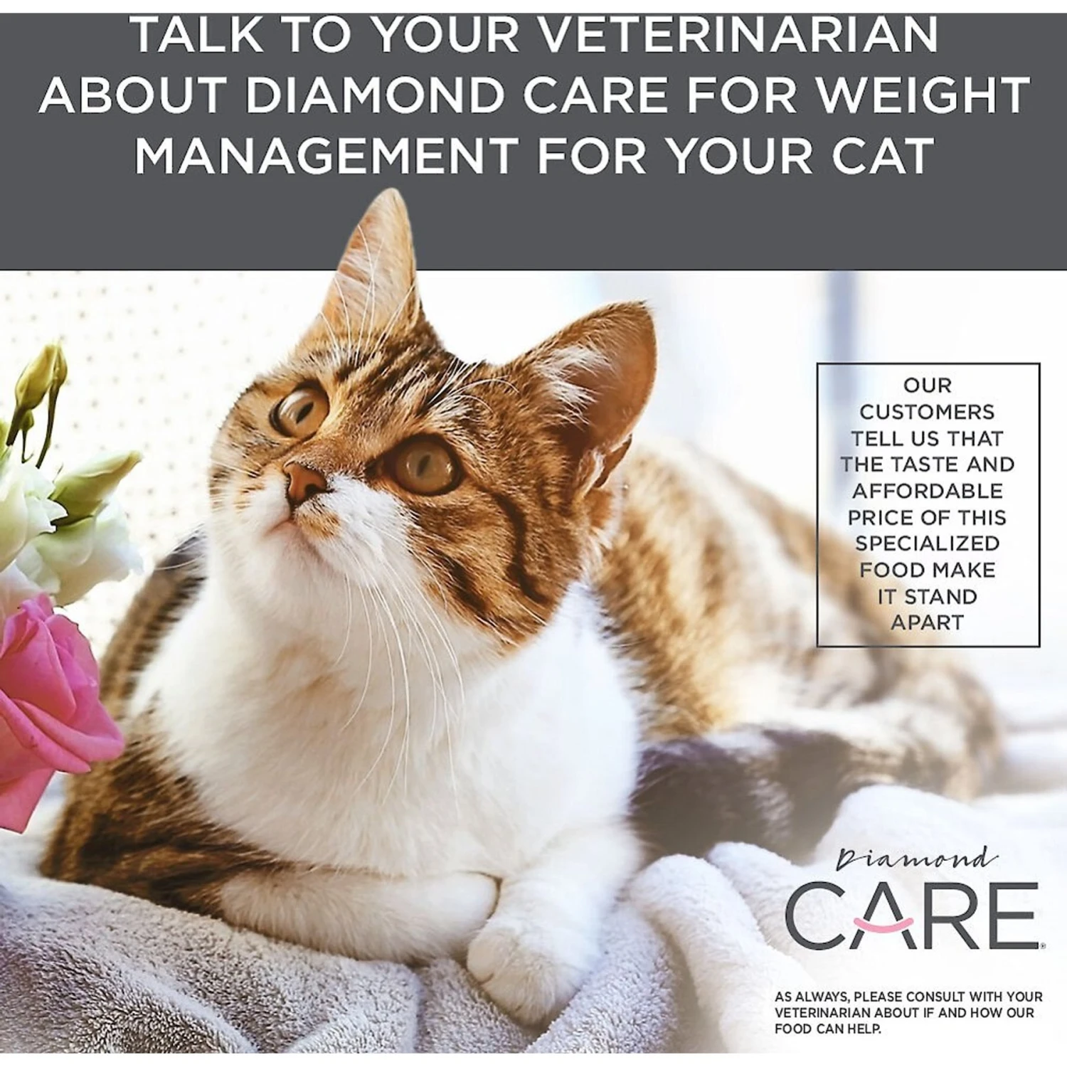 Diamond Care Weight Management Formula Adult Grain-Free Dry Cat Food 7 Diamond Care Weight Management Formula Adult Grain-Free Dry Cat Food - Image 7