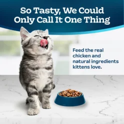 Blue Buffalo Tastefuls Natural Chicken Dry Kitten Food -Furry Feast 144079 PT2. AC SS1800 V1692644844