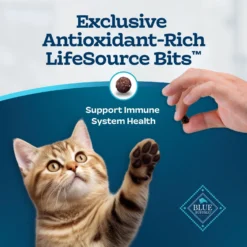 Blue Buffalo Tastefuls Natural Chicken Dry Kitten Food -Furry Feast 144079 PT6. AC SS1800 V1692646331