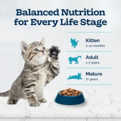 Blue Buffalo Tastefuls Natural Chicken Dry Kitten Food -Furry Feast 144079 PT7. AC SS1800 V1692642810