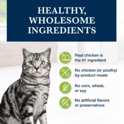 Blue Buffalo Natural Veterinary Diet GI Gastrointestinal Support Grain-Free Dry Cat Food -Furry Feast 147678 PT5. AC SS1800 V1703091328