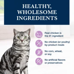 Blue Buffalo Natural Veterinary Diet W+U Weight Management + Urinary Care Grain-Free Dry Cat Food -Furry Feast 147682 PT5. AC SS1800 V1703091386