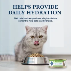 Blue Buffalo Natural Veterinary Diet GI Gastrointestinal Support Grain-Free Wet Cat Food -Furry Feast 147686 PT6. AC SS1800 V1695083932