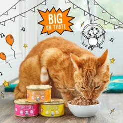 Tiny Tiger Chunks In EXTRA Gravy Beef & Poultry Recipes Variety Pack Grain-Free Canned Cat Food -Furry Feast 147784 PT4. AC SS1800 V1687286170