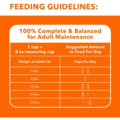 Iams ProActive Health Salmon Recipe Adult Dry Cat Food -Furry Feast 148007 PT6. AC SS1800 V1609949293