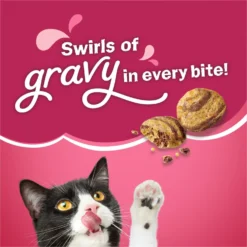 Friskies Gravy Swirlers Chicken & Salmon Flavor Dry Cat Food 12 Friskies Gravy Swirlers Chicken & Salmon Flavor Dry Cat Food -Furry Feast 148060 PT3. AC SS1800 V1700156231