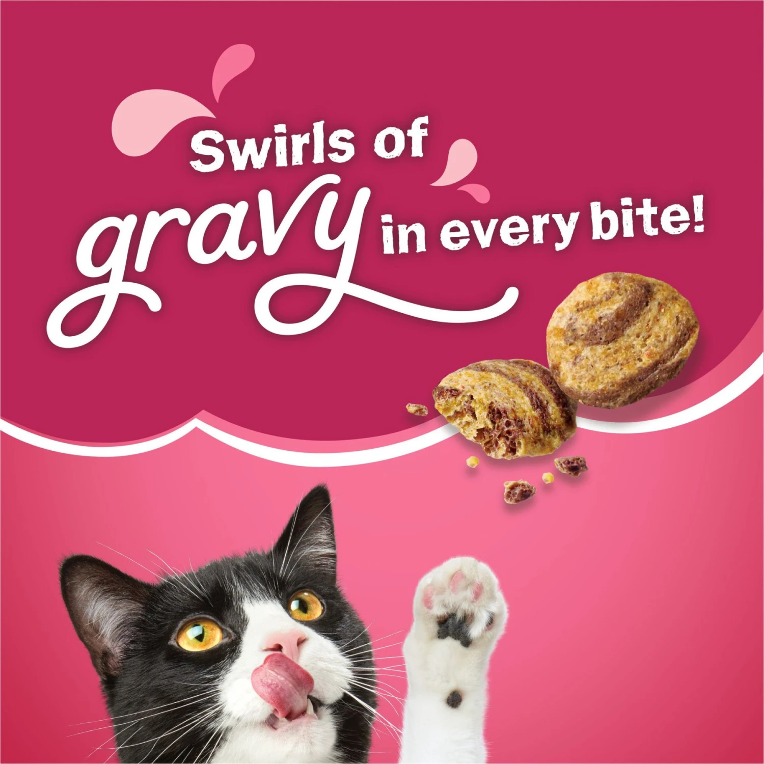 Friskies Gravy Swirlers Chicken & Salmon Flavor Dry Cat Food 4 Friskies Gravy Swirlers Chicken & Salmon Flavor Dry Cat Food - Image 4