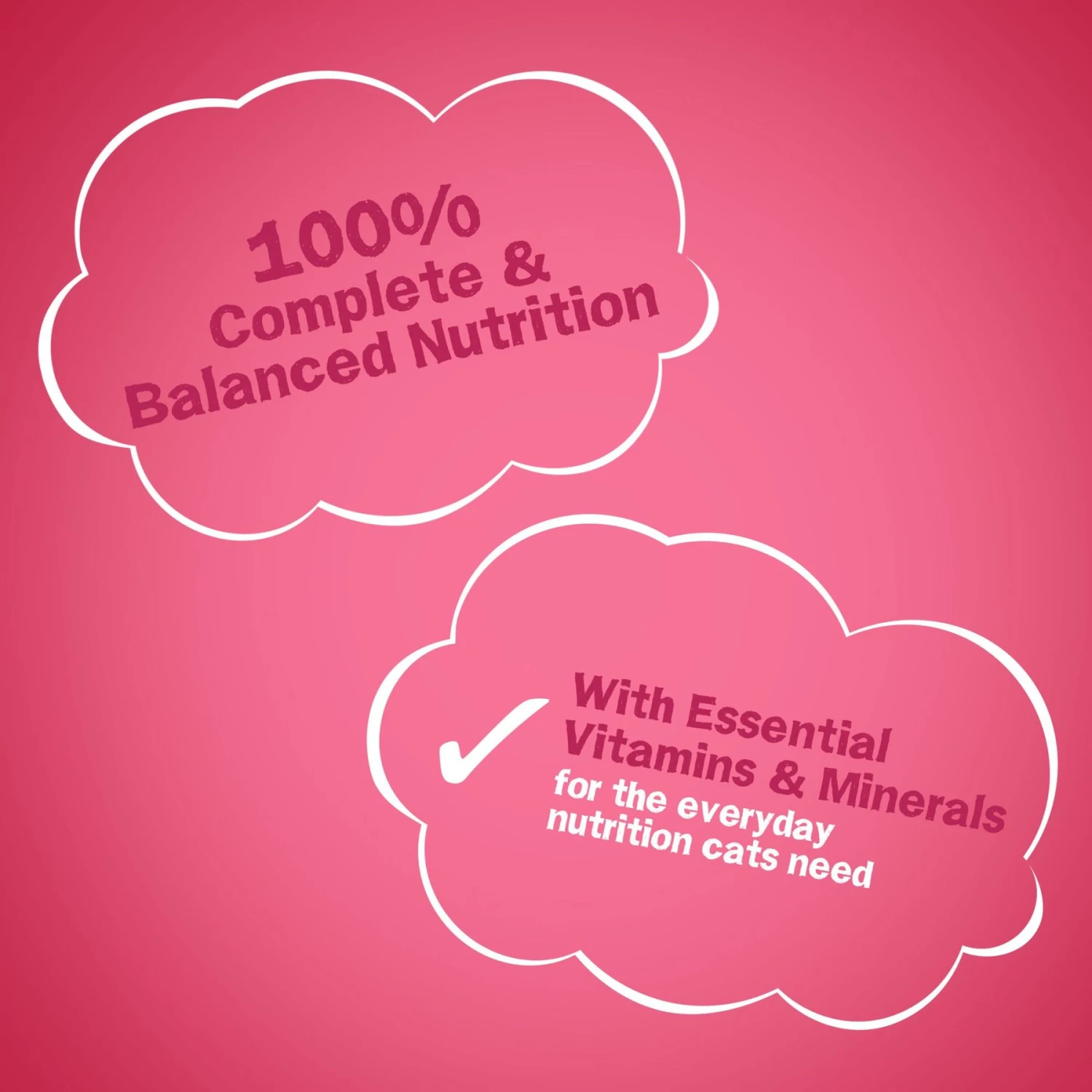 Friskies Gravy Swirlers Chicken & Salmon Flavor Dry Cat Food 8 Friskies Gravy Swirlers Chicken & Salmon Flavor Dry Cat Food - Image 8