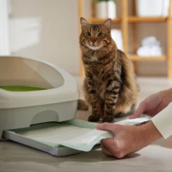 Frisco Cat Litter Pads, Unscented -Furry Feast 149816 PT5. AC SS1800 V1675279991