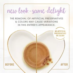 Fancy Feast Kitten Tender Chicken Feast Canned Cat Food -Furry Feast 149824 PT2. AC SS1800 V1691418832