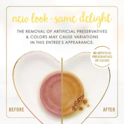 Fancy Feast Kitten Tender Salmon Feast Canned Cat Food -Furry Feast 149827 PT2. AC SS1800 V1691417414