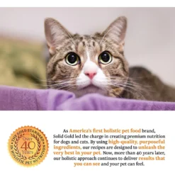 Solid Gold Triple Layer Mousse & Shreds With Real Beef & Pumpkin Wet Cat Food -Furry Feast 150938 PT4. AC SS1800 V1534859175