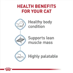 Royal Canin Feline Care Nutrition Weight Care Adult Chunks In Gravy Pouch Cat Food, 3-oz, Case Of 12 12 Royal Canin Feline Care Nutrition Weight Care Adult Chunks In Gravy Pouch Cat Food, 3-oz, Case Of 12 -Furry Feast 151279 PT3. AC SS1800 V1694792302