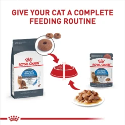 Royal Canin Feline Care Nutrition Weight Care Adult Chunks In Gravy Pouch Cat Food, 3-oz, Case Of 12 14 Royal Canin Feline Care Nutrition Weight Care Adult Chunks In Gravy Pouch Cat Food, 3-oz, Case Of 12 -Furry Feast 151279 PT5. AC SS1800 V1694790489