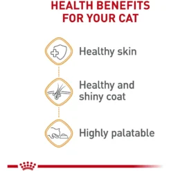 Royal Canin Feline Care Nutrition Hair & Skin Care Chunks In Gravy Pouch Cat Food, 3-oz, Case Of 12 -Furry Feast 151283 PT3. AC SS1800 V1697761937