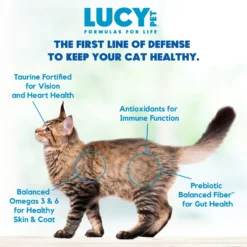 Lucy Pet Products Formulas For Life Salmon, Pumpkin & Quinoa Formula Grain-Free Dry Cat Food -Furry Feast 151358 PT5. AC SS1800 V1581698342