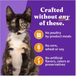 Halo Chicken Recipe With Real Whole Chicken Grain-Free Kitten Wet Food -Furry Feast 153680 PT5. AC SS1800 V1682351624