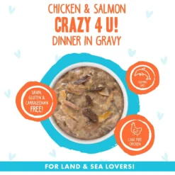 BFF OMG Crazy 4 U! Chicken & Salmon Dinner In Gravy Grain-Free Canned Cat Food 11 BFF OMG Crazy 4 U! Chicken & Salmon Dinner In Gravy Grain-Free Canned Cat Food -Furry Feast 154843 PT2. AC SS1800 V1646842666