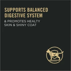 Purina Pro Plan Sensitive Skin & Stomach Turkey & Oat Meal Formula Dry Cat Food -Furry Feast 155234 PT8. AC SS1800 V1649221015