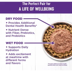 Wellness Complete Health Chicken & Deboned Chicken Grain-Free Senior Dry Cat Food -Furry Feast 155316 PT2. AC SS1800 V1636518225