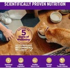 Wellness Complete Health Chicken & Deboned Chicken Grain-Free Senior Dry Cat Food -Furry Feast 155316 PT4. AC SS1800 V1636513102