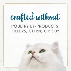 Fancy Feast Gourmet Naturals Tuna Recipe In Gravy Canned Cat Food -Furry Feast 155539 PT6. AC SS1800 V1677102451