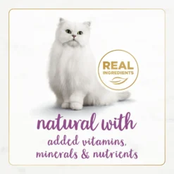 Fancy Feast Gourmet Naturals Beef Recipe Pate Canned Cat Food, 3-oz, Case Of 12 -Furry Feast 155545 PT3. AC SS1800 V1677102858