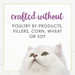 Fancy Feast Gourmet Naturals Beef Recipe Pate Canned Cat Food, 3-oz, Case Of 12 -Furry Feast 155545 PT6. AC SS1800 V1677102857