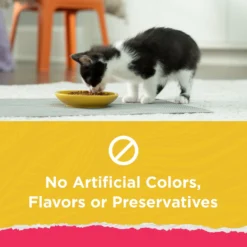 Kitten Chow Naturals Original With Added Vitamins, Minerals & Nutrients Dry Cat Food -Furry Feast 155804 PT2. AC SS1800 V1695836515