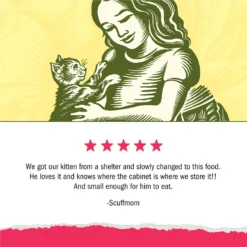 Kitten Chow Naturals Original With Added Vitamins, Minerals & Nutrients Dry Cat Food -Furry Feast 155804 PT5. AC SS1800 V1695847860