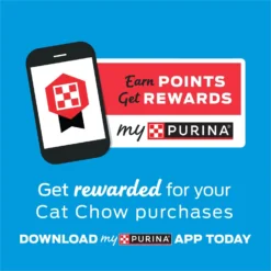 Kitten Chow Naturals Original With Added Vitamins, Minerals & Nutrients Dry Cat Food -Furry Feast 155804 PT7. AC SS1800 V1695836521