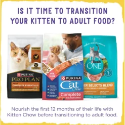 Kitten Chow Naturals Original With Added Vitamins, Minerals & Nutrients Dry Cat Food -Furry Feast 155804 PT8. AC SS1800 V1695740175