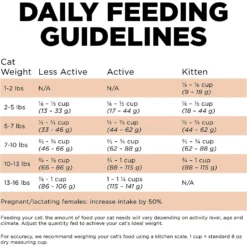 Go! Solutions Skin + Coat Care Grain-Free Salmon Recipe Dry Cat Food -Furry Feast 157019 PT6. AC SS1800 V1638832355