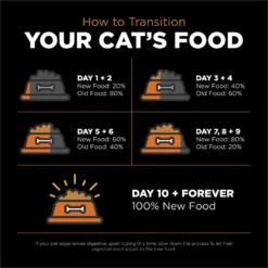 Go! Solutions Skin + Coat Care Grain-Free Salmon Recipe Dry Cat Food -Furry Feast 157019 PT7. AC SS1800 V1638836824