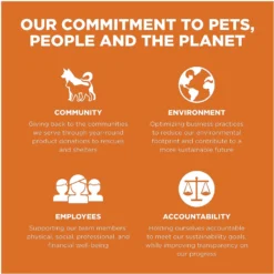 Go! Solutions Skin + Coat Care Grain-Free Salmon Recipe Dry Cat Food -Furry Feast 157019 PT8. AC SS1800 V1638835595