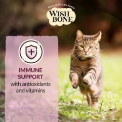 Wishbone Graze New Zealand Beef & Lamb Grain-Free Complete Cat Health Dry Cat Food -Furry Feast 157491 PT5. AC SS1800 V1702503577