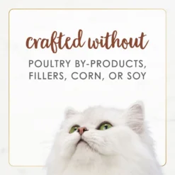 Fancy Feast Gourmet Naturals Poultry & Beef Variety Pack Canned Cat Food -Furry Feast 158492 PT7. AC SS1800 V1677103480