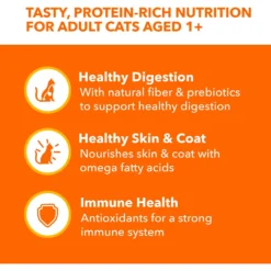 Iams Perfect Portions Indoor Tuna & Salmon Recipe Grain-Free Cuts In Gravy Variety Pack Adult Wet Cat Food Trays -Furry Feast 159241 PT3. AC SS1800 V1626816690