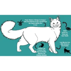 Chicken Soup For The Soul Indoor Chicken & Brown Rice Recipe Dry Cat Food -Furry Feast 165107 PT4. AC SS1800 V1600383673