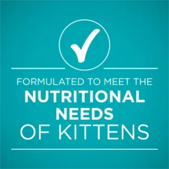 Purina ONE Grain-Free Natural Pate Healthy Kitten Chicken & Salmon Recipe Wet Kitten Food -Furry Feast 166133 PT5. AC SS1800 V1658226573