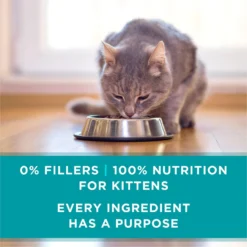 Purina ONE Grain-Free Natural Pate Healthy Kitten Chicken & Salmon Recipe Wet Kitten Food -Furry Feast 166133 PT6. AC SS1800 V1658190301