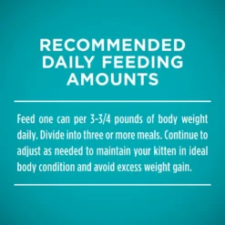 Purina ONE Grain-Free Natural Pate Healthy Kitten Chicken & Salmon Recipe Wet Kitten Food -Furry Feast 166133 PT8. AC SS1800 V1566932821