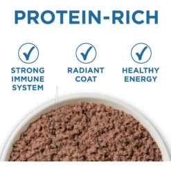 Purina ONE Indoor Advantage 7+ Chicken & Ocean Fish Recipe Pate Wet Cat Food -Furry Feast 166135 PT1. AC SS1800 V1636676487