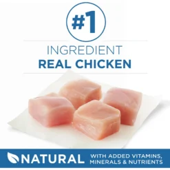 Purina ONE Indoor Advantage 7+ Chicken & Ocean Fish Recipe Pate Wet Cat Food -Furry Feast 166135 PT2. AC SS1800 V1636676190