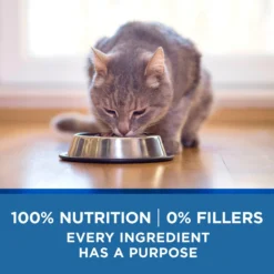 Purina ONE Indoor Advantage 7+ Chicken & Ocean Fish Recipe Pate Wet Cat Food -Furry Feast 166135 PT5. AC SS1800 V1636674714