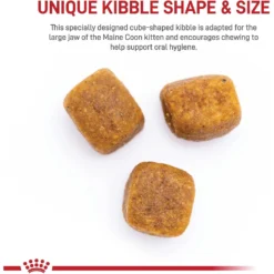 Royal Canin Feline Breed Nutrition Maine Coon Kitten Dry Cat Food, 3-lb Bag -Furry Feast 169731 PT3. AC SS1800 V1695054142