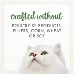 Fancy Feast Gourmet Naturals Pate Variety Pack Canned Cat Food, 3-oz, Case Of 12 -Furry Feast 172632 PT7. AC SS1800 V1677103571